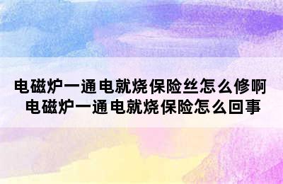 电磁炉一通电就烧保险丝怎么修啊 电磁炉一通电就烧保险怎么回事